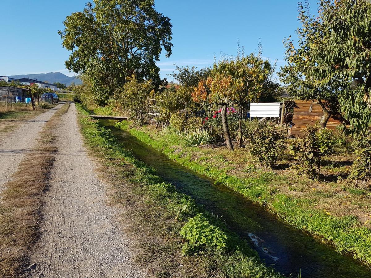 Apartmán L'Etoile Ingersheim Exteriér fotografie